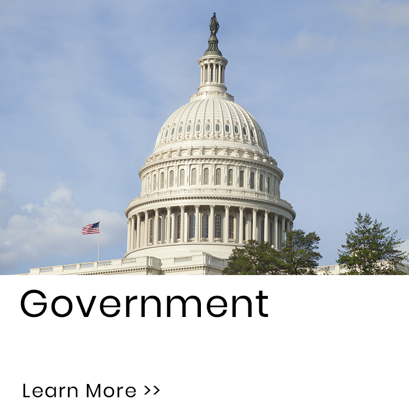 Government